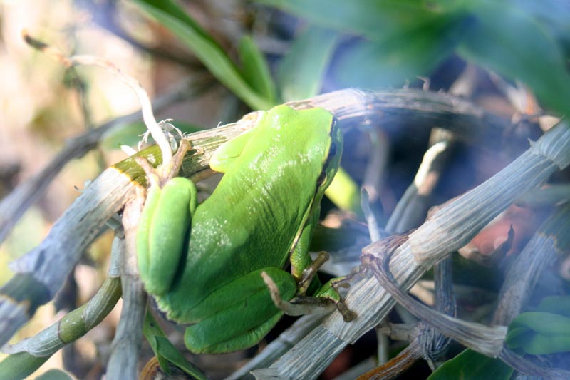 Killikus&reg; Fotographie